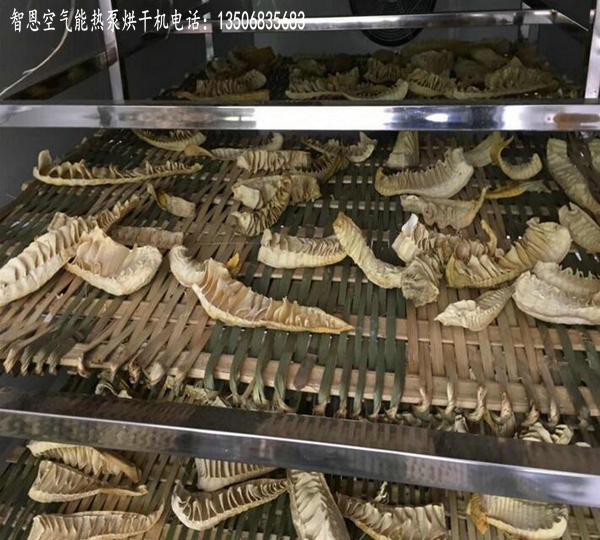 竹筍干燥設備